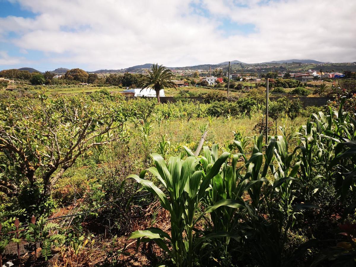 Casa Rural, Espectaculares Vistas Teide Wifi- Bbq Villa Tacoronte Luaran gambar